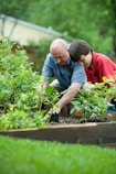 boy in blue and white checkered button up shirt holding green plant