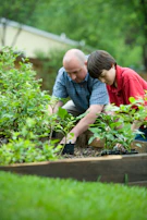 boy in blue and white checkered button up shirt holding green plant