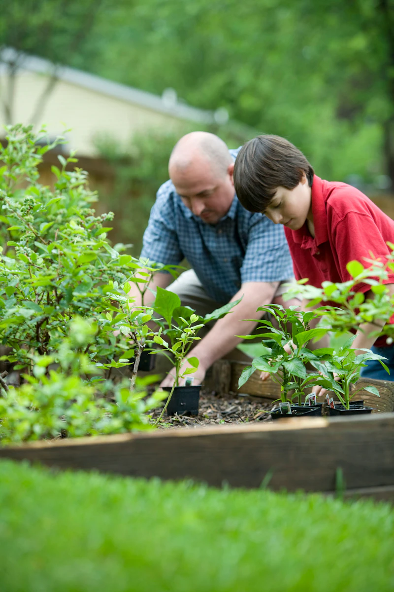 A parent and child planting seedlings in the raised-bed garden