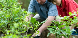 boy in blue and white checkered button up shirt holding green plant