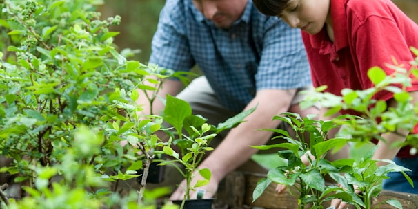 boy in blue and white checkered button up shirt holding green plant