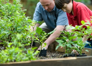 boy in blue and white checkered button up shirt holding green plant