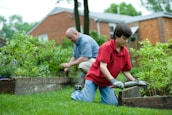 Two people are engaged in gardening activities in a backyard. The person in the foreground is wearing a red shirt and is using a trowel to tend to plants in a raised wooden flower bed. In the background, another person in a checkered shirt is also working in the garden, surrounded by lush greenery and shrubs. The environment is serene and focused on the task of cultivating plants.