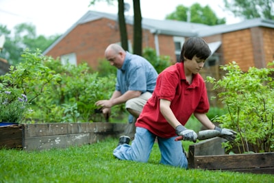 Two people are engaged in gardening activities in a backyard. The person in the foreground is wearing a red shirt and is using a trowel to tend to plants in a raised wooden flower bed. In the background, another person in a checkered shirt is also working in the garden, surrounded by lush greenery and shrubs. The environment is serene and focused on the task of cultivating plants.