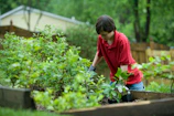 A young person teaching another how to use gardening tools.