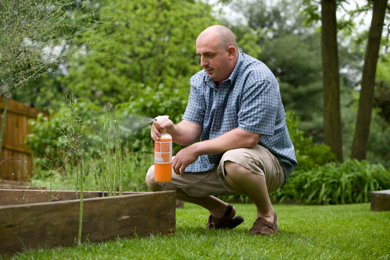 technician applying treatment to a backyard garden bed