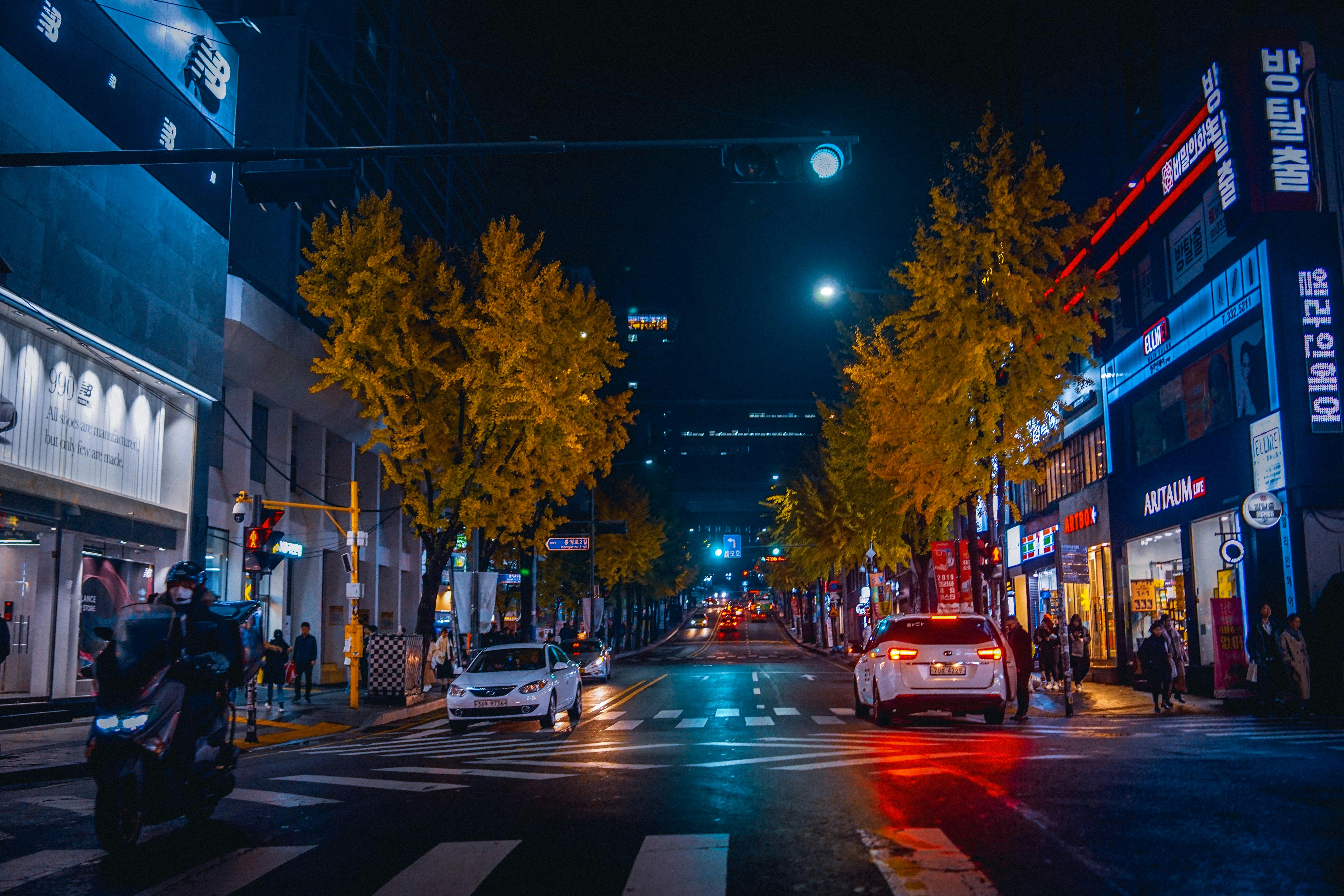 Photo by thinhngtrung