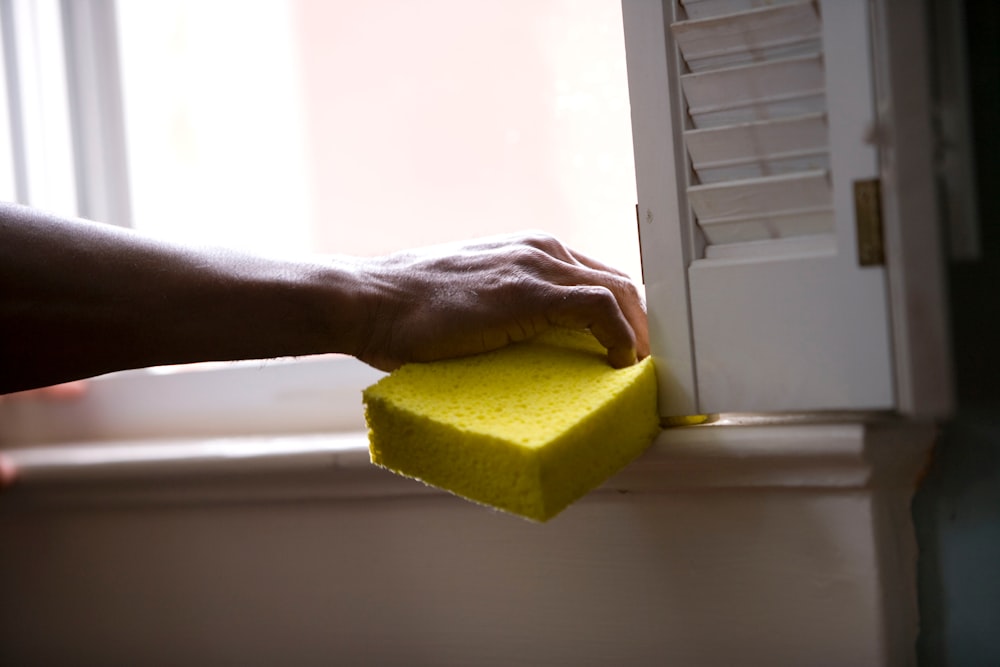 person holding yellow sponge on white surface