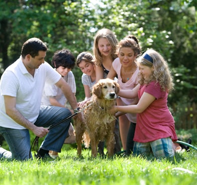 group of people standing on green grass field during daytime