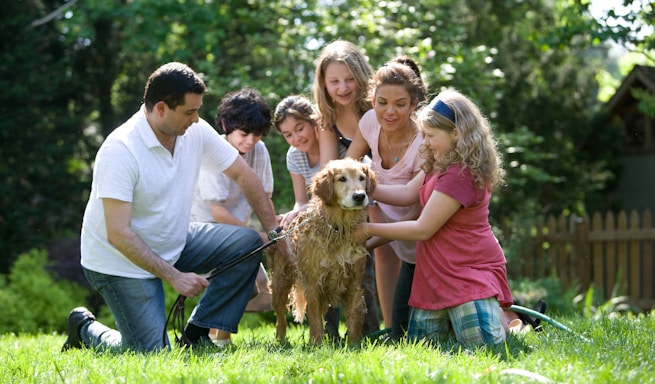 group of people standing on green grass field during daytime