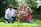 group of people standing on green grass field during daytime