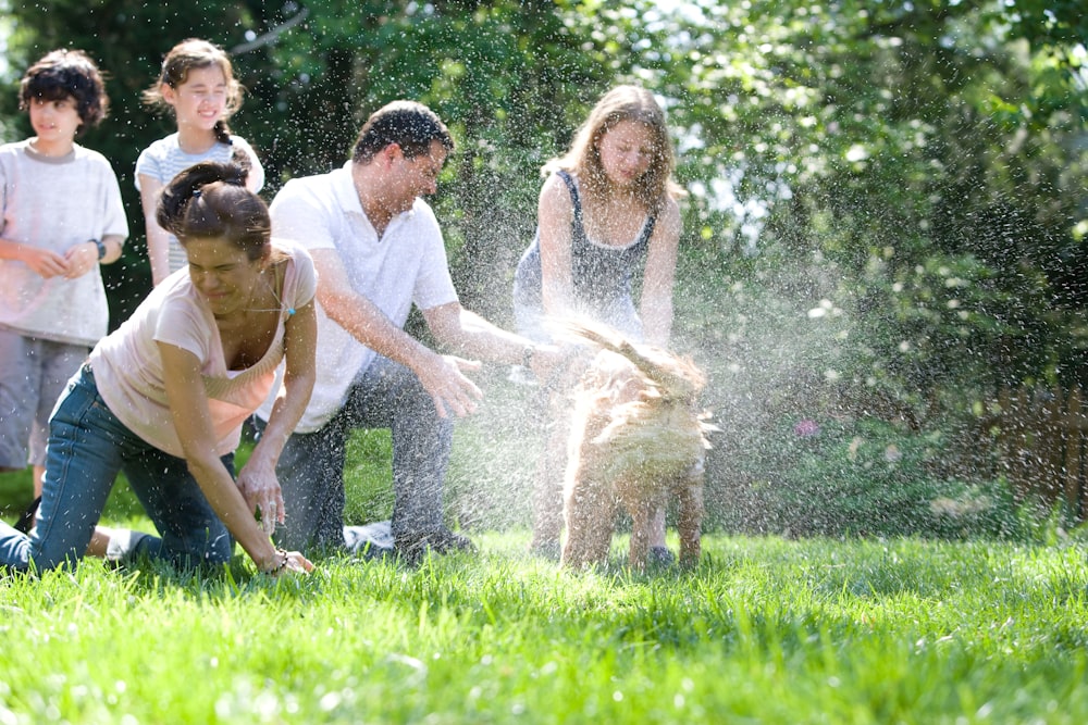 a group of people playing in the grass with a dog