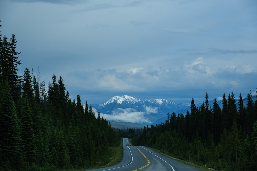 gray asphalt road between green trees under white clouds and blue sky during daytime