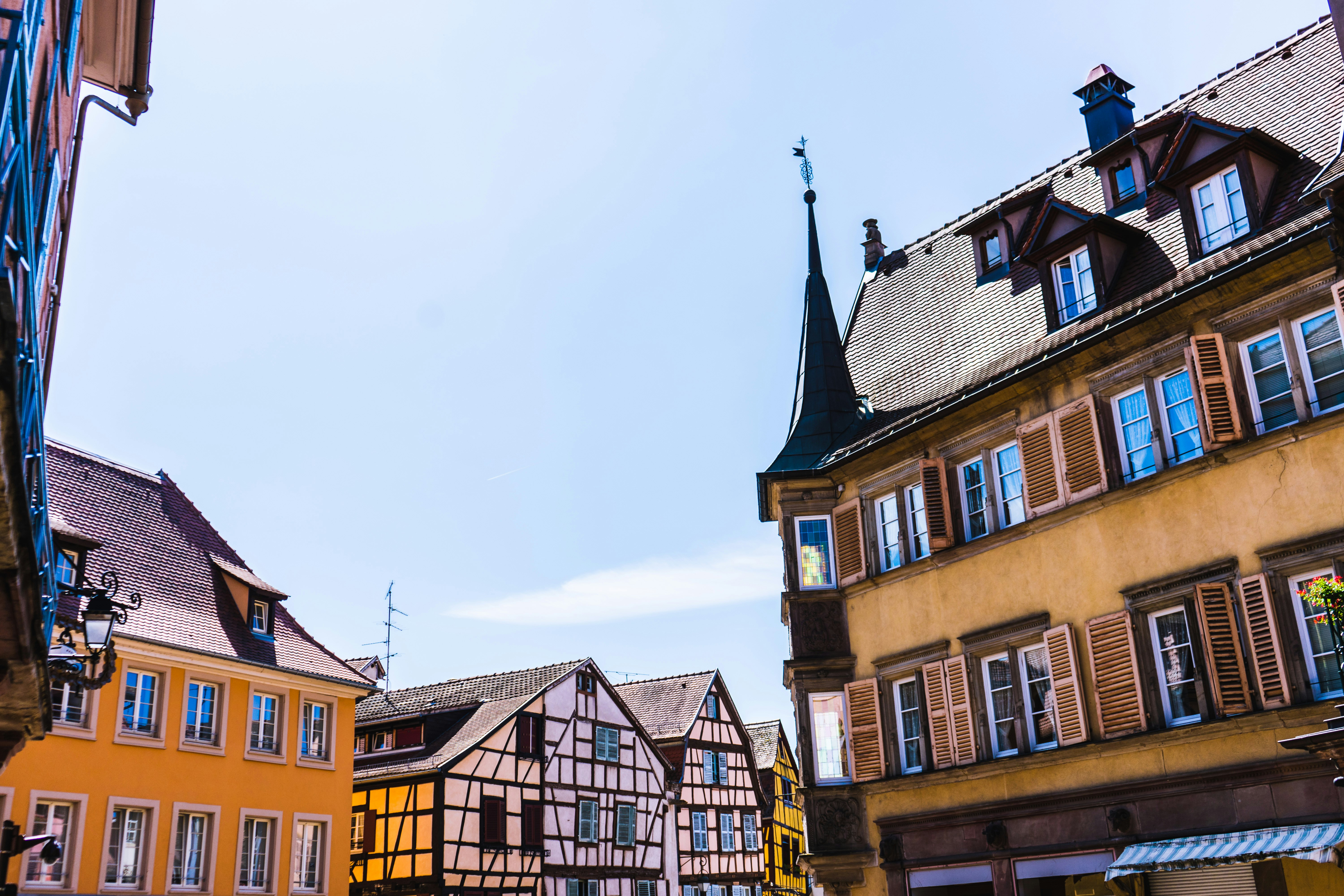 Photo by virussinside