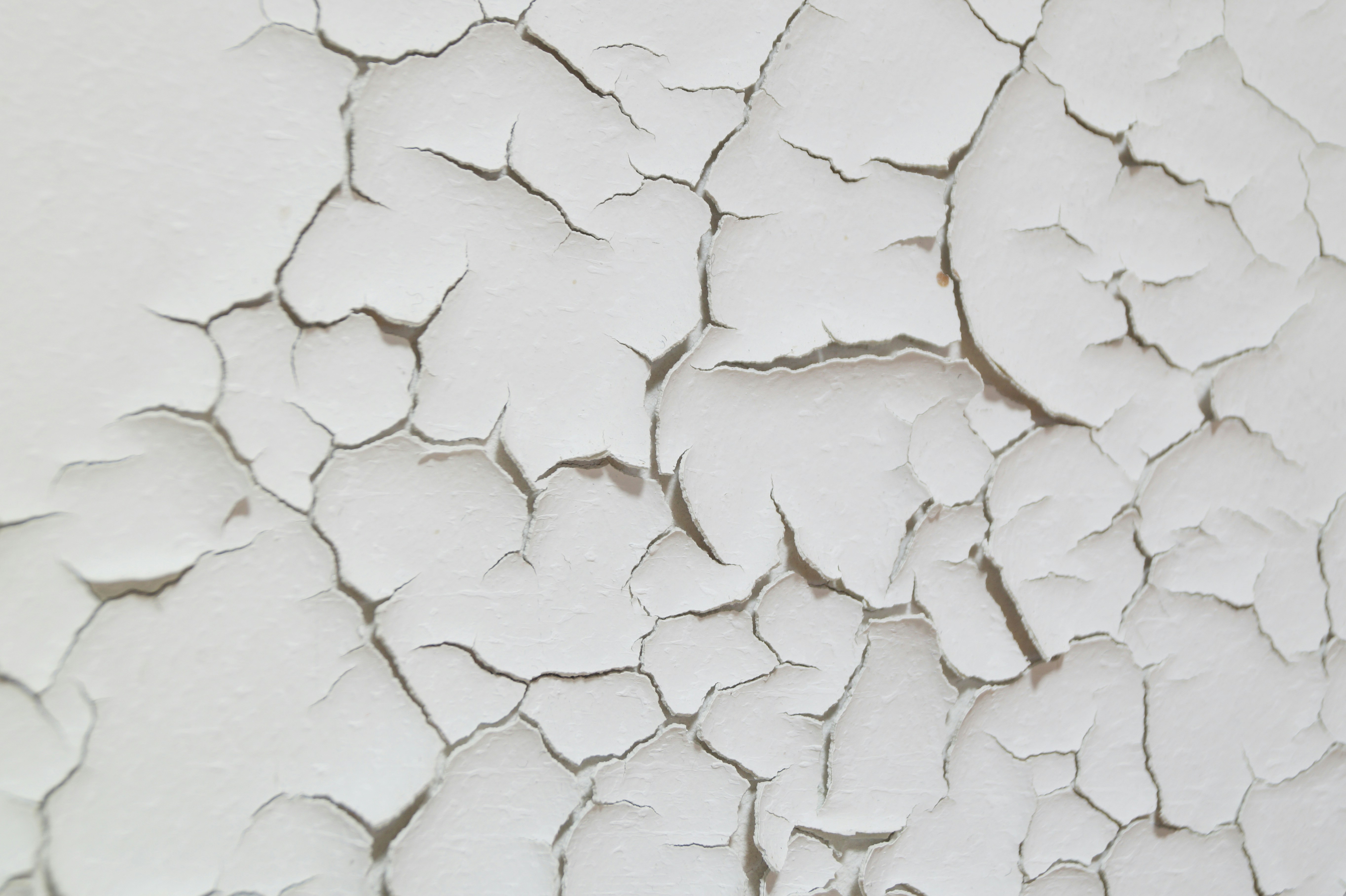 Photo by yingchih_hao