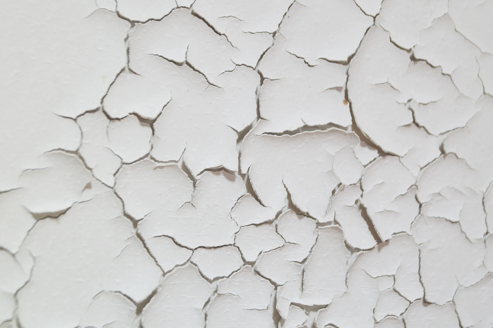 white and brown abstract painting