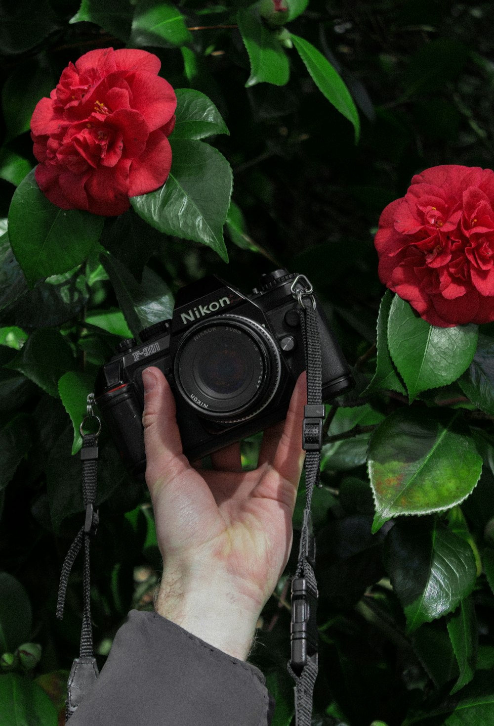 person holding black nikon dslr camera