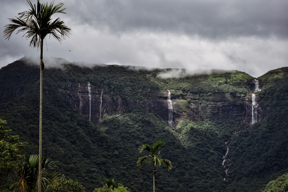 green trees near mountain under white clouds during daytime