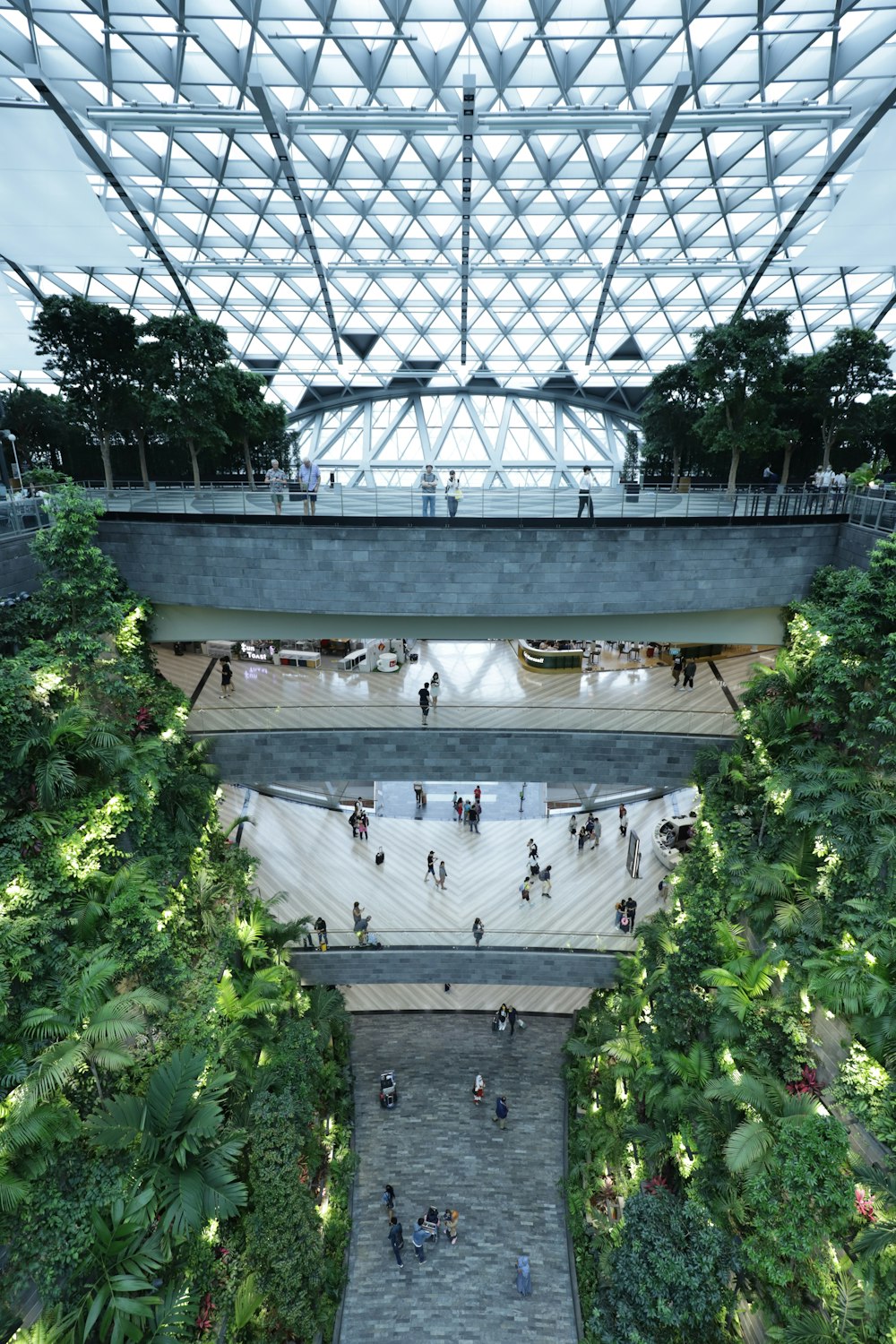 green trees and plants inside building