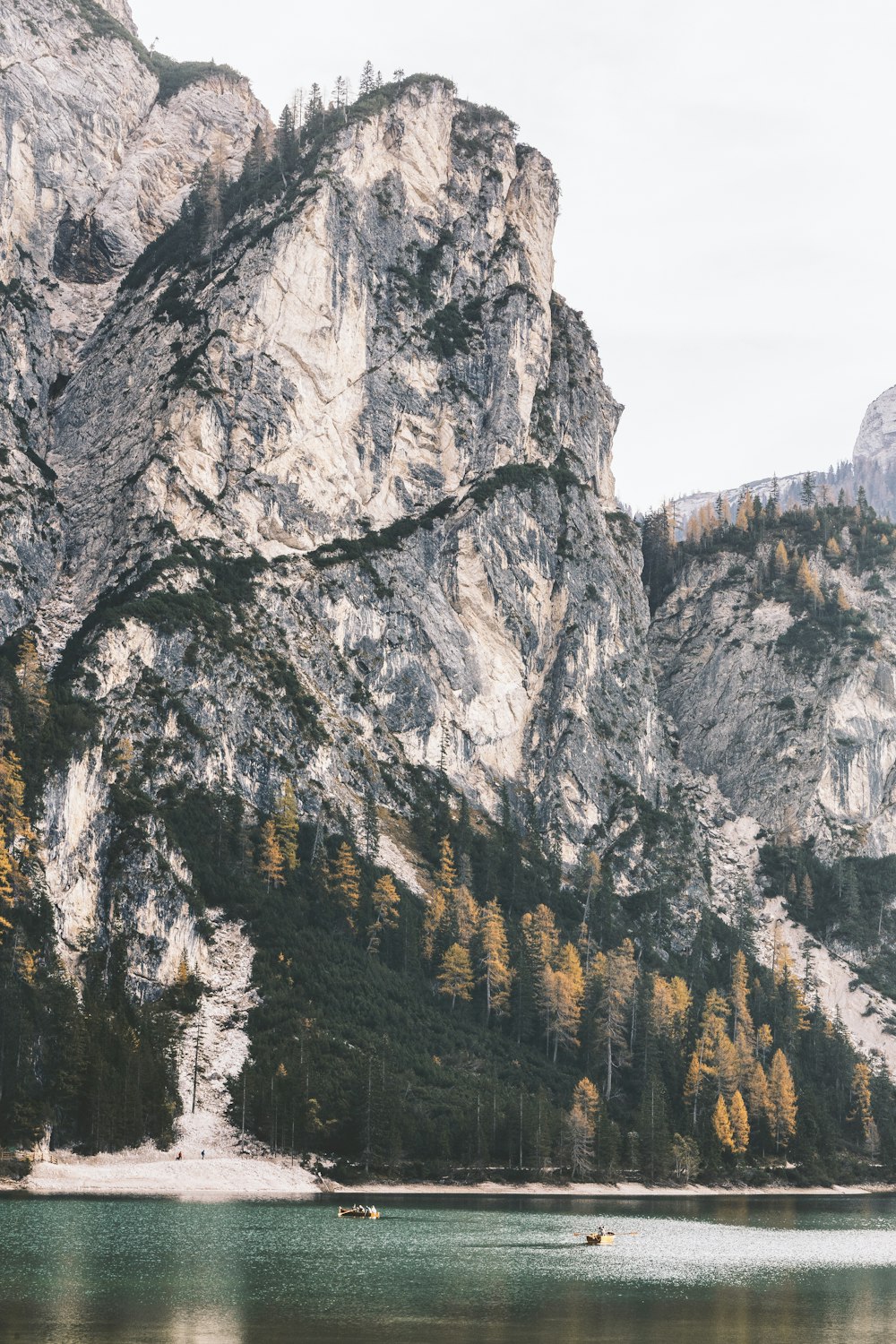 green trees on rocky mountain during daytime