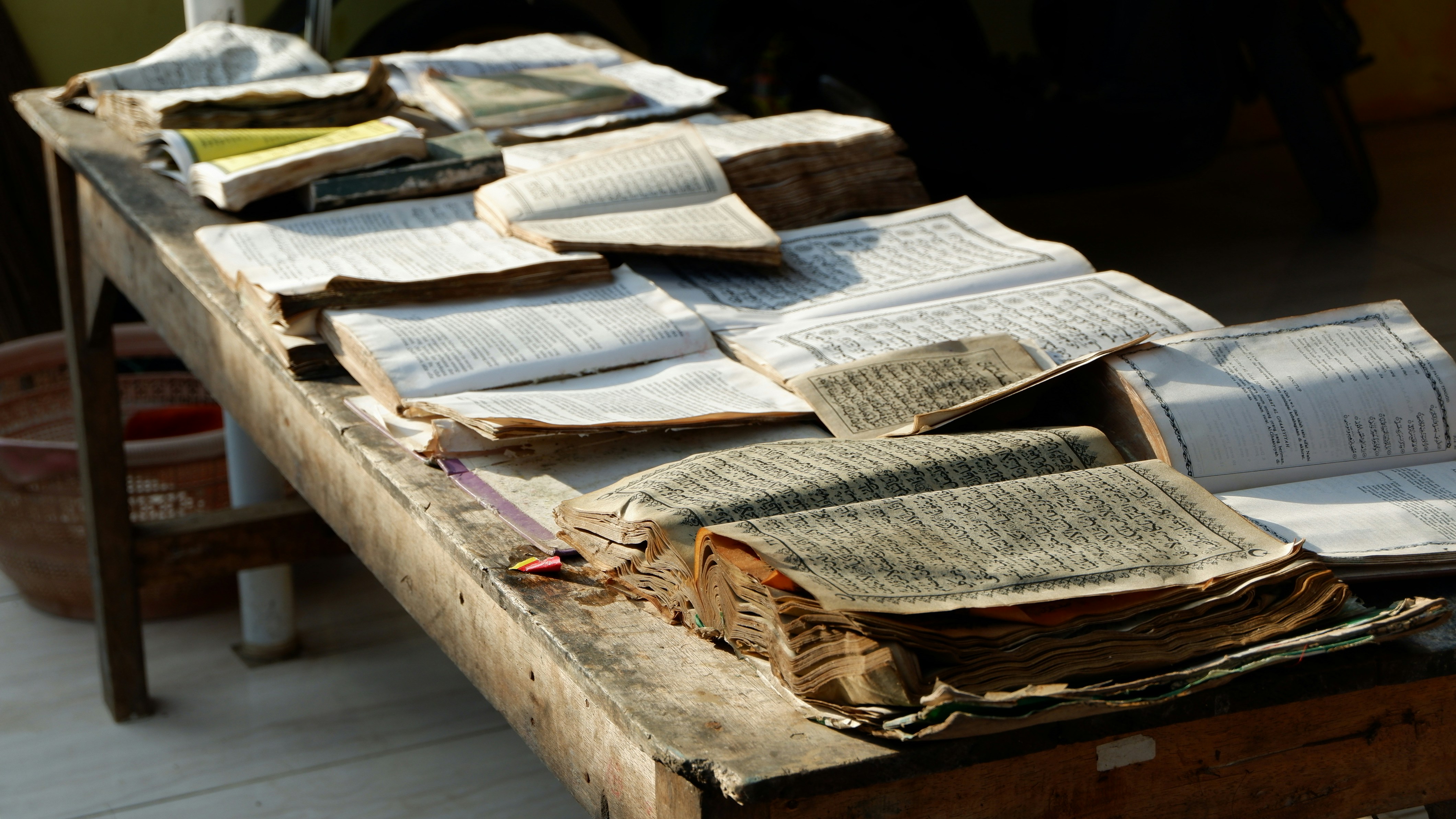 Photo by canimstudio