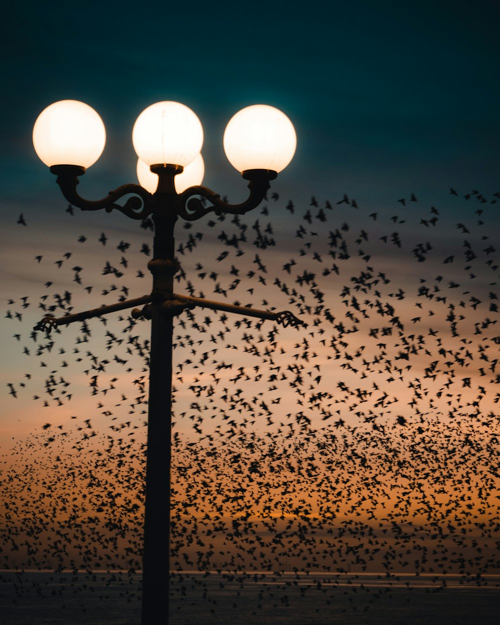 black and white street light during sunset