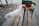 A white chicken is standing on a wooden bench. Its feathers are predominantly white with a small red comb on its head. In the background, there are piles of colorful clothing placed on the bench and some scattered stones and rubble. The setting appears to be outdoors.