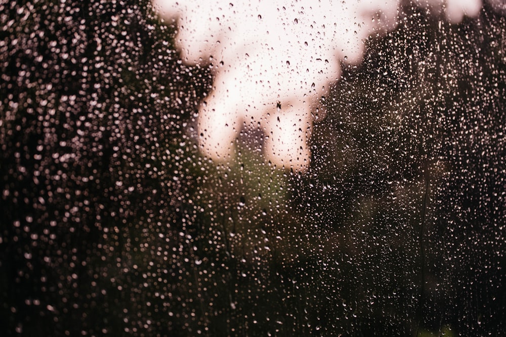 water droplets on glass panel