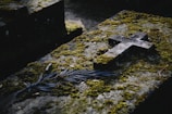 water on gray concrete stairs