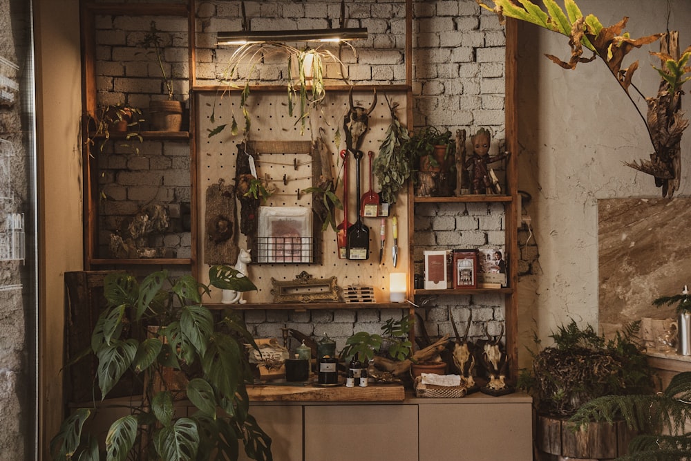 green plants on brown wooden wall