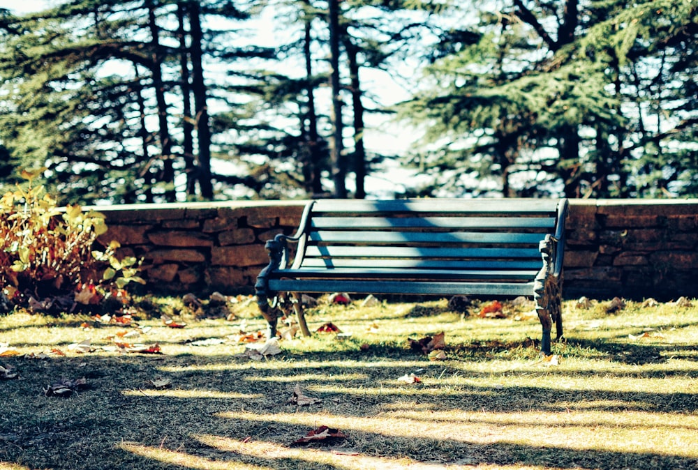 brown wooden bench on brown dirt ground near green trees during daytime