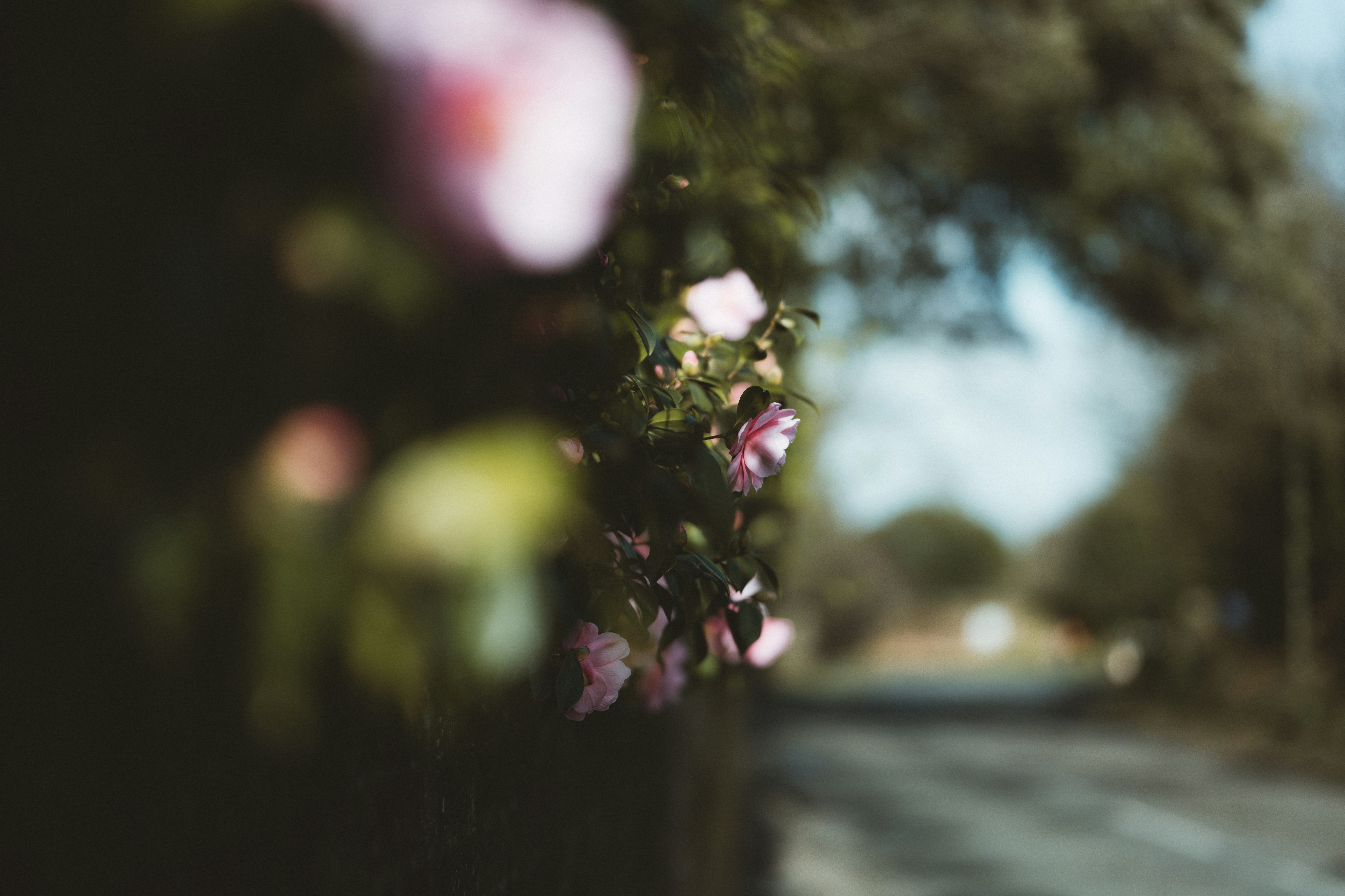 Photo by anniespratt