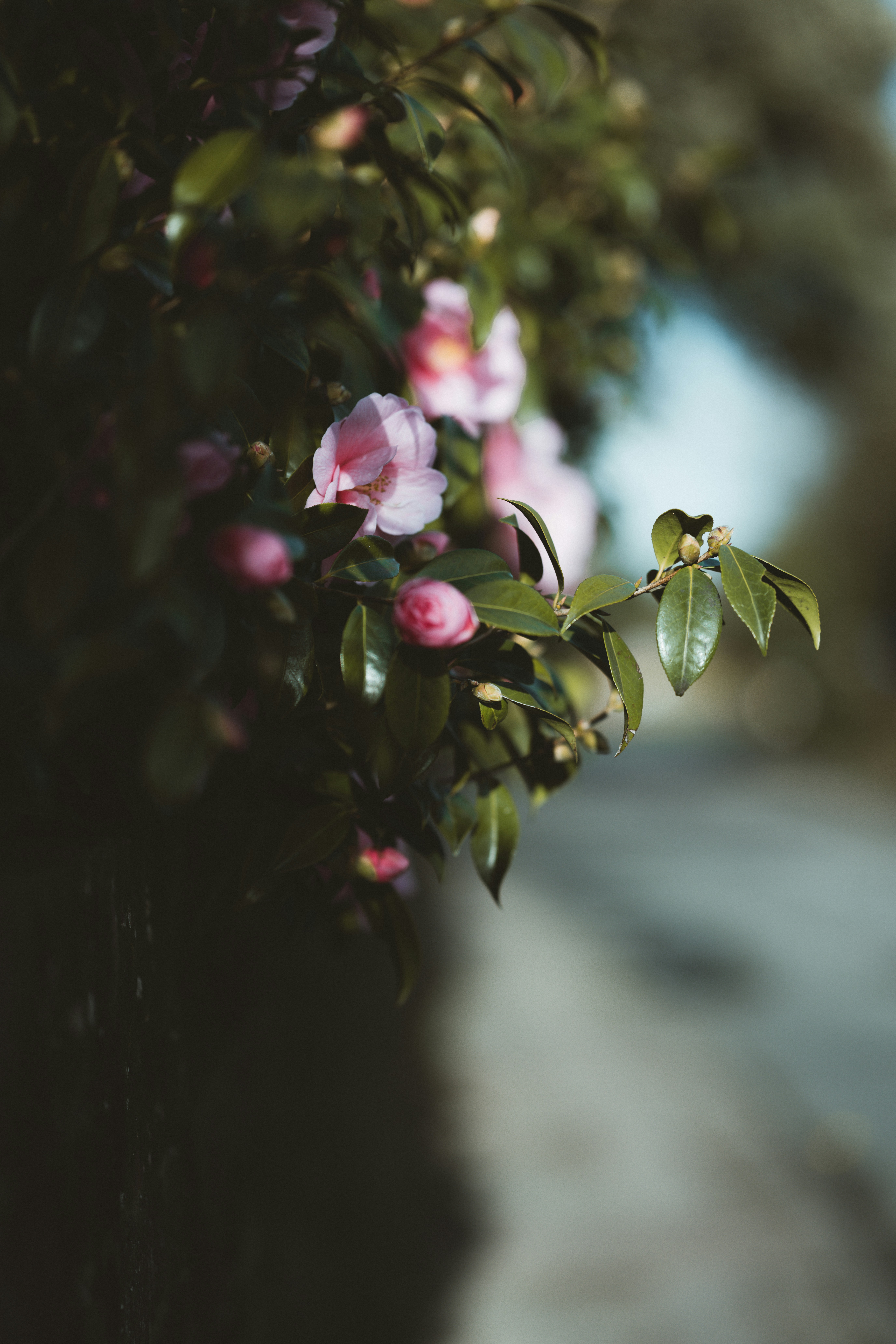 Photo by anniespratt