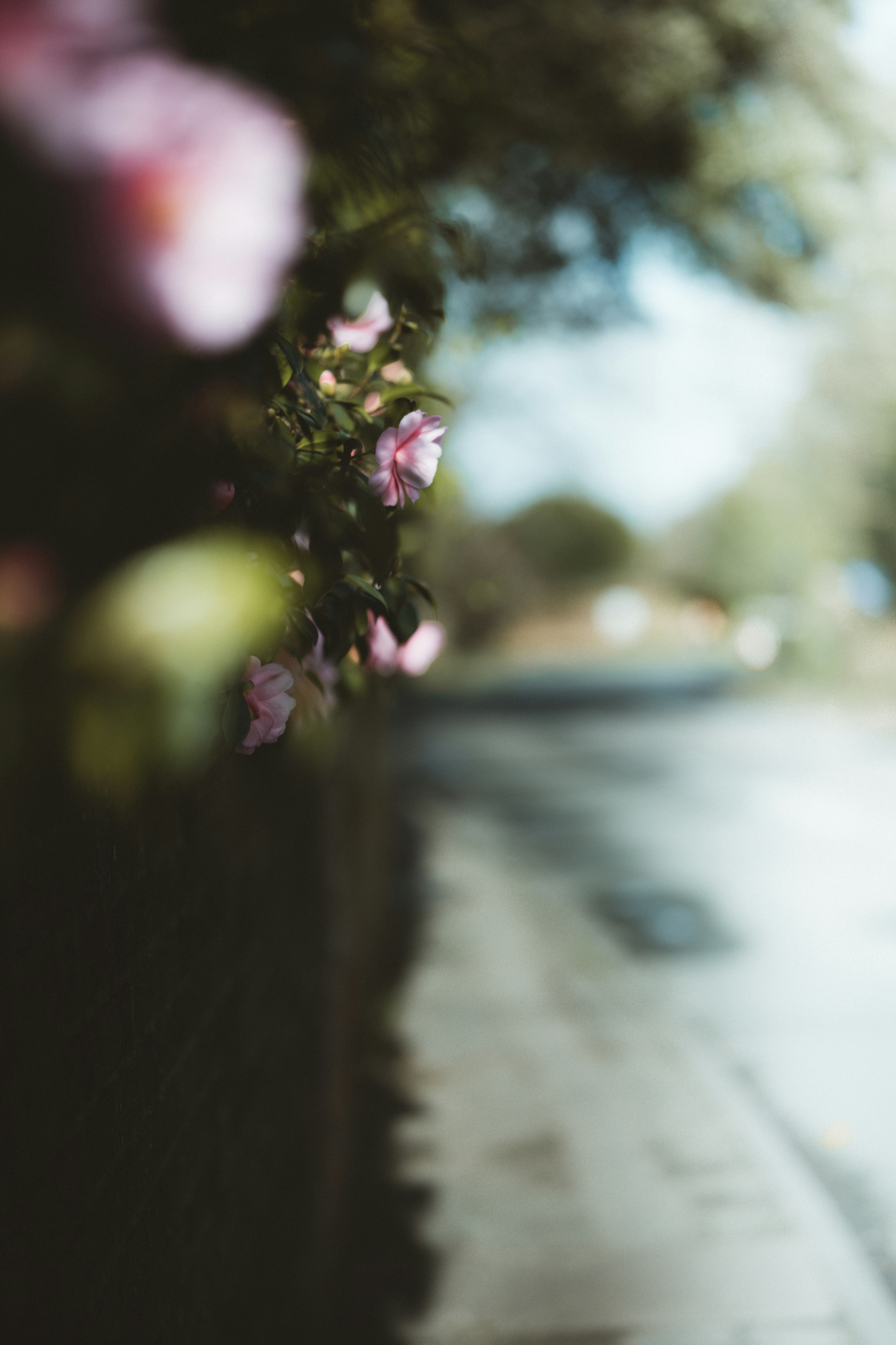 Photo by anniespratt