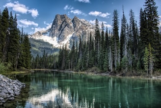 green pine trees near lake and snow covered mountain during daytime