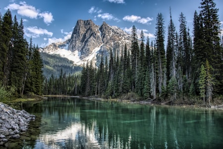 green pine trees near lake and snow covered mountain during daytime
