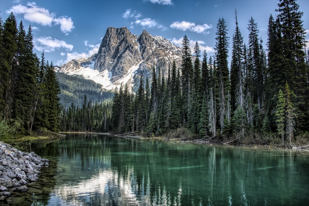 green pine trees near lake and snow covered mountain during daytime