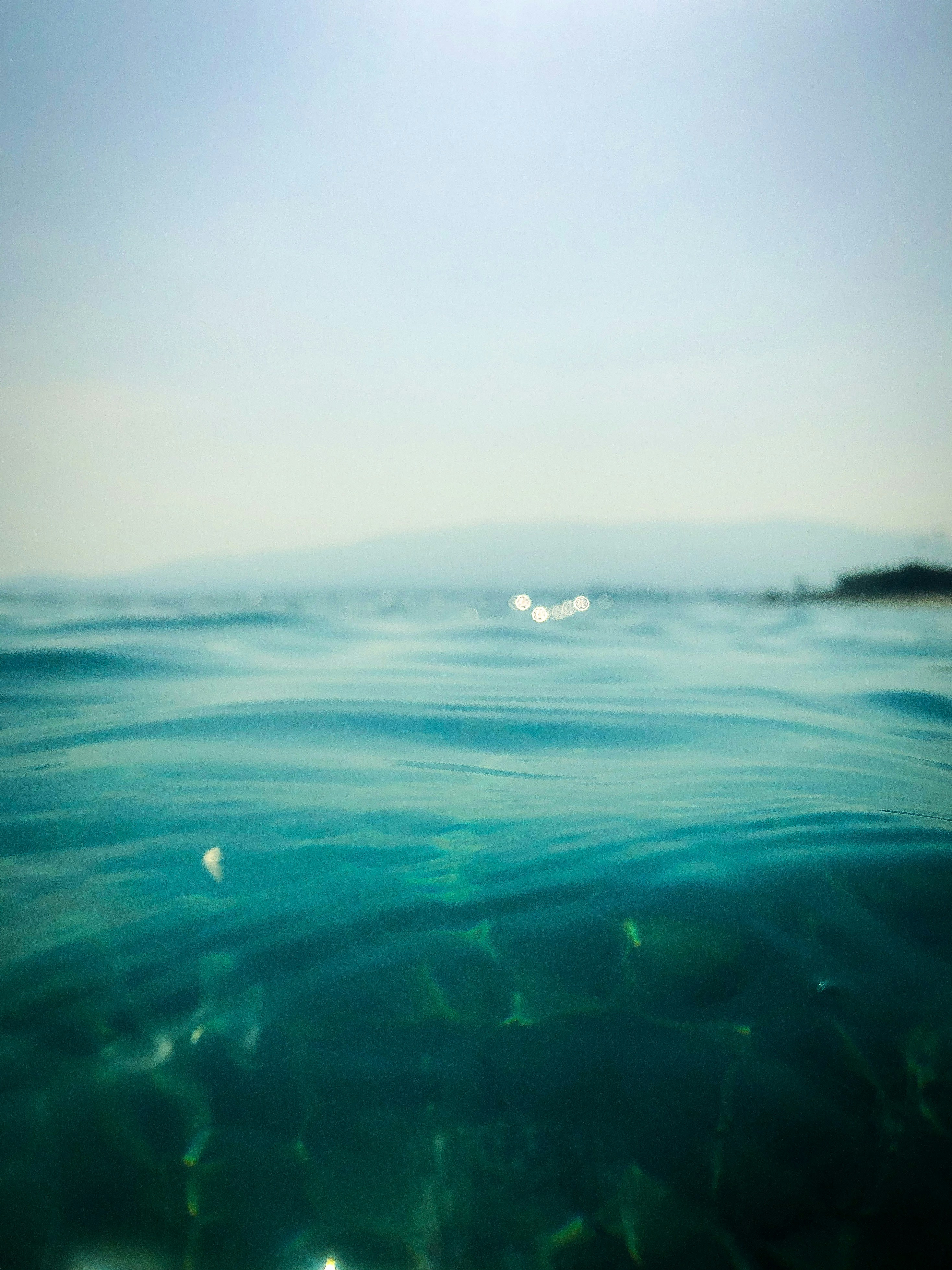 blue and white water wave