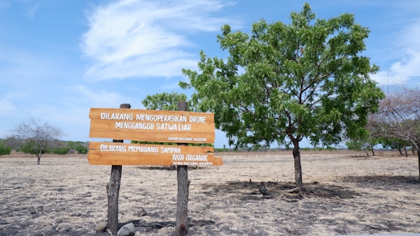 Situbondo Weather Guide: Best Months to Visit