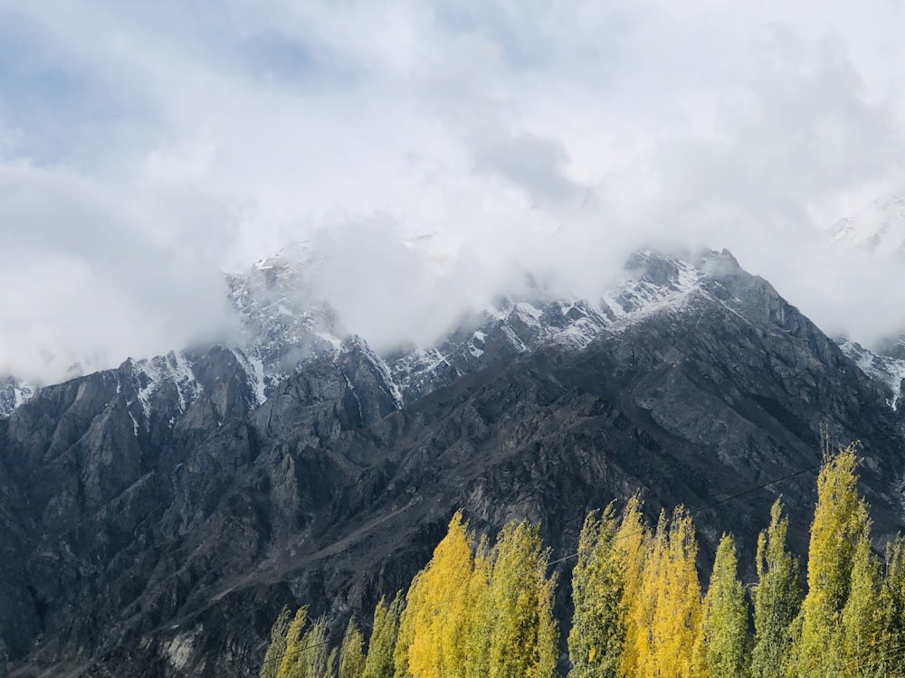 green trees on mountain under white clouds during daytime