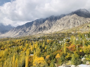 green trees near mountain under white clouds during daytime