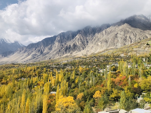 green trees near mountain under white clouds during daytime