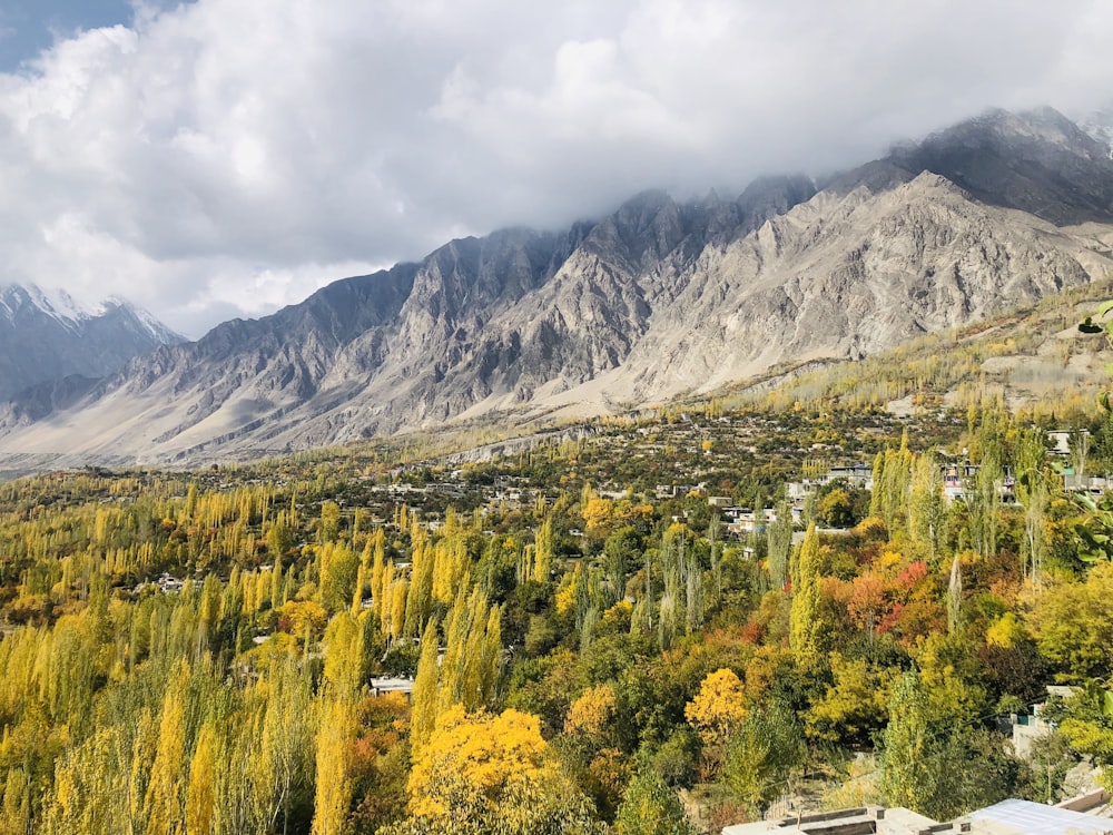 green trees near mountain under white clouds during daytime