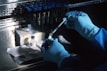 A person wearing blue protective gloves is handling a syringe and a vial on a metallic surface. The background includes a stainless steel shelf holding rows of small bottles with blue caps. There is also a pack of alcohol wipes and a box containing laboratory equipment.