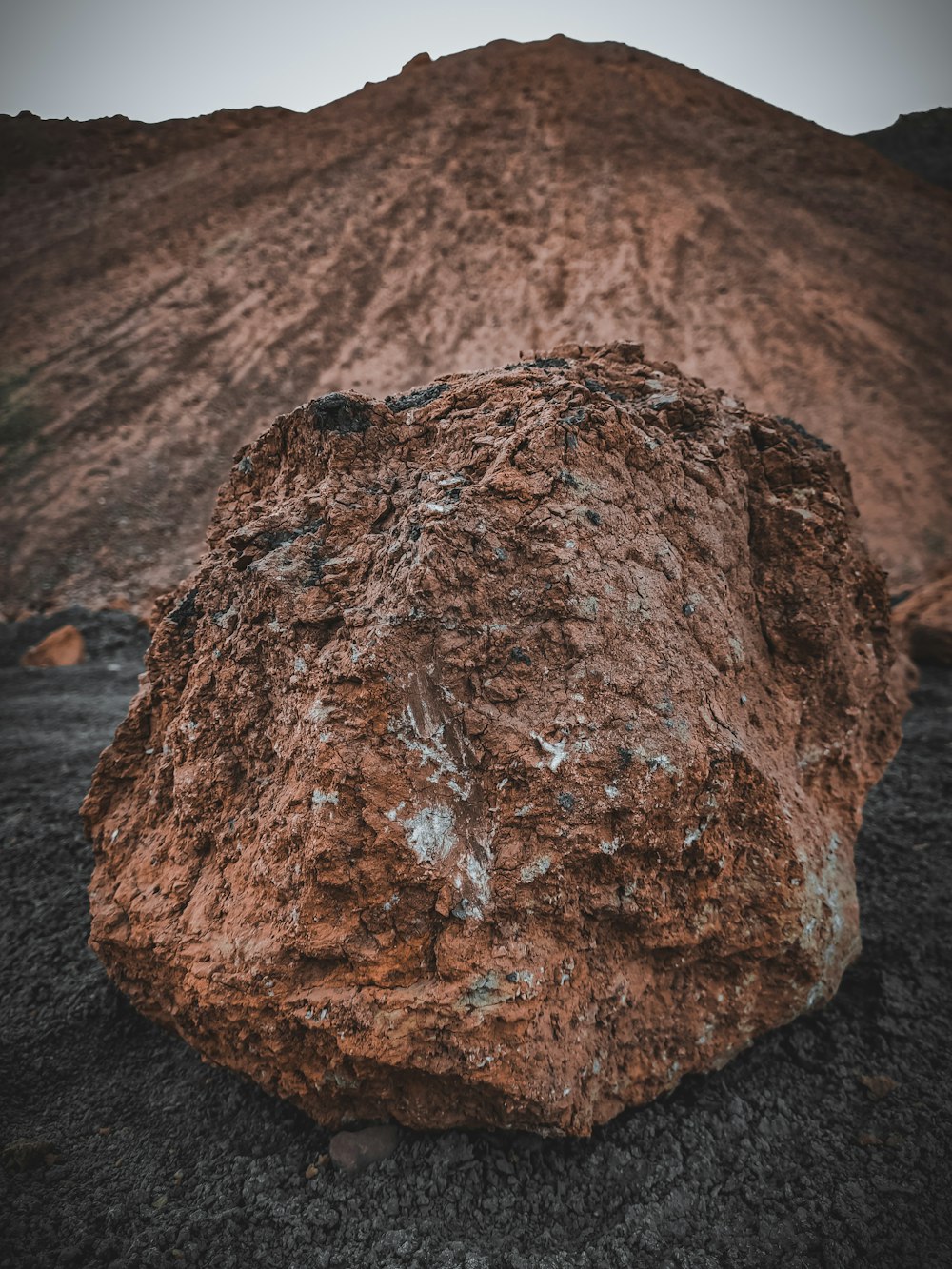 brown rock on brown sand