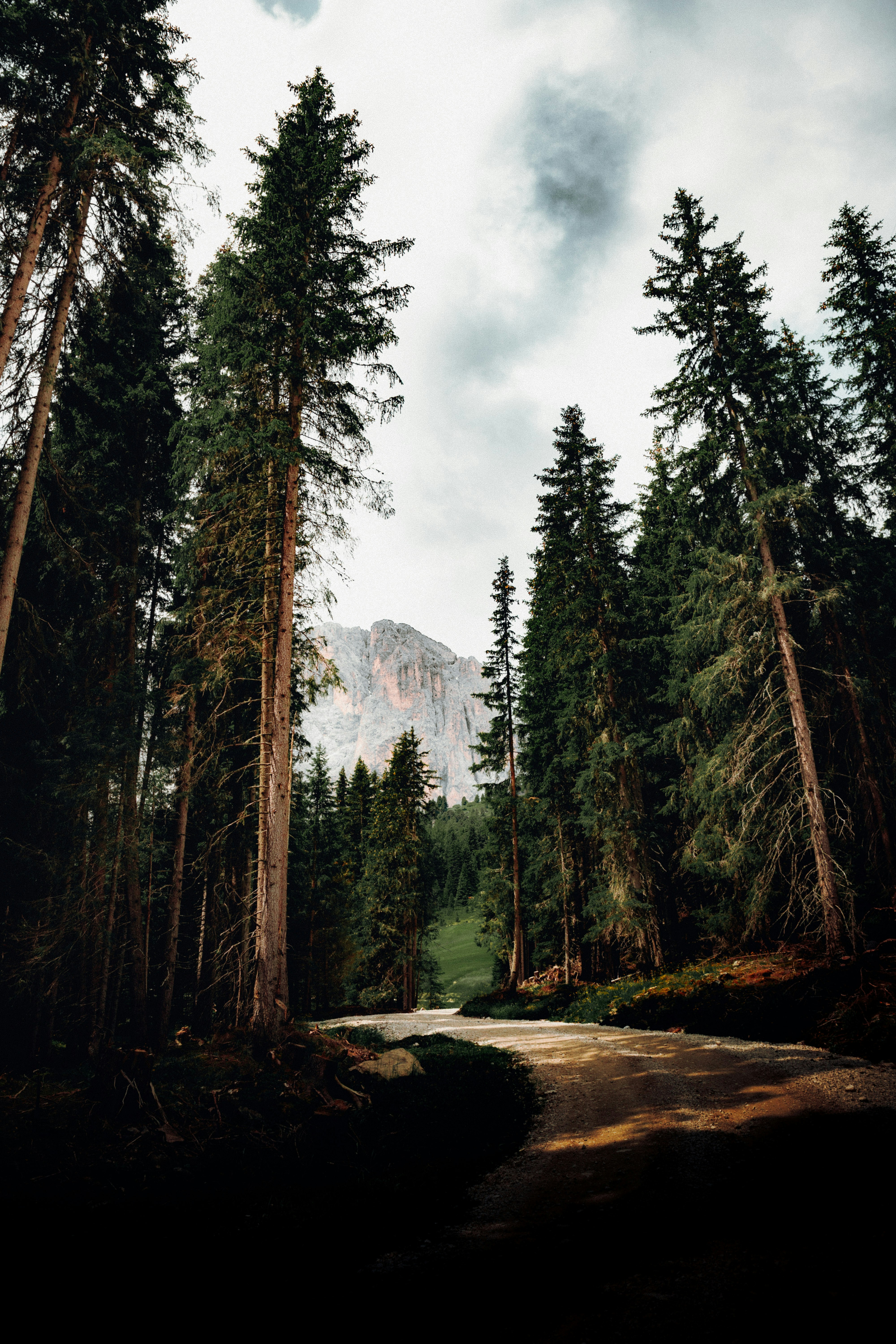 Photo by danieljschwarz