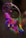A vibrant dream catcher with blue and purple feathers hanging against a soft background.