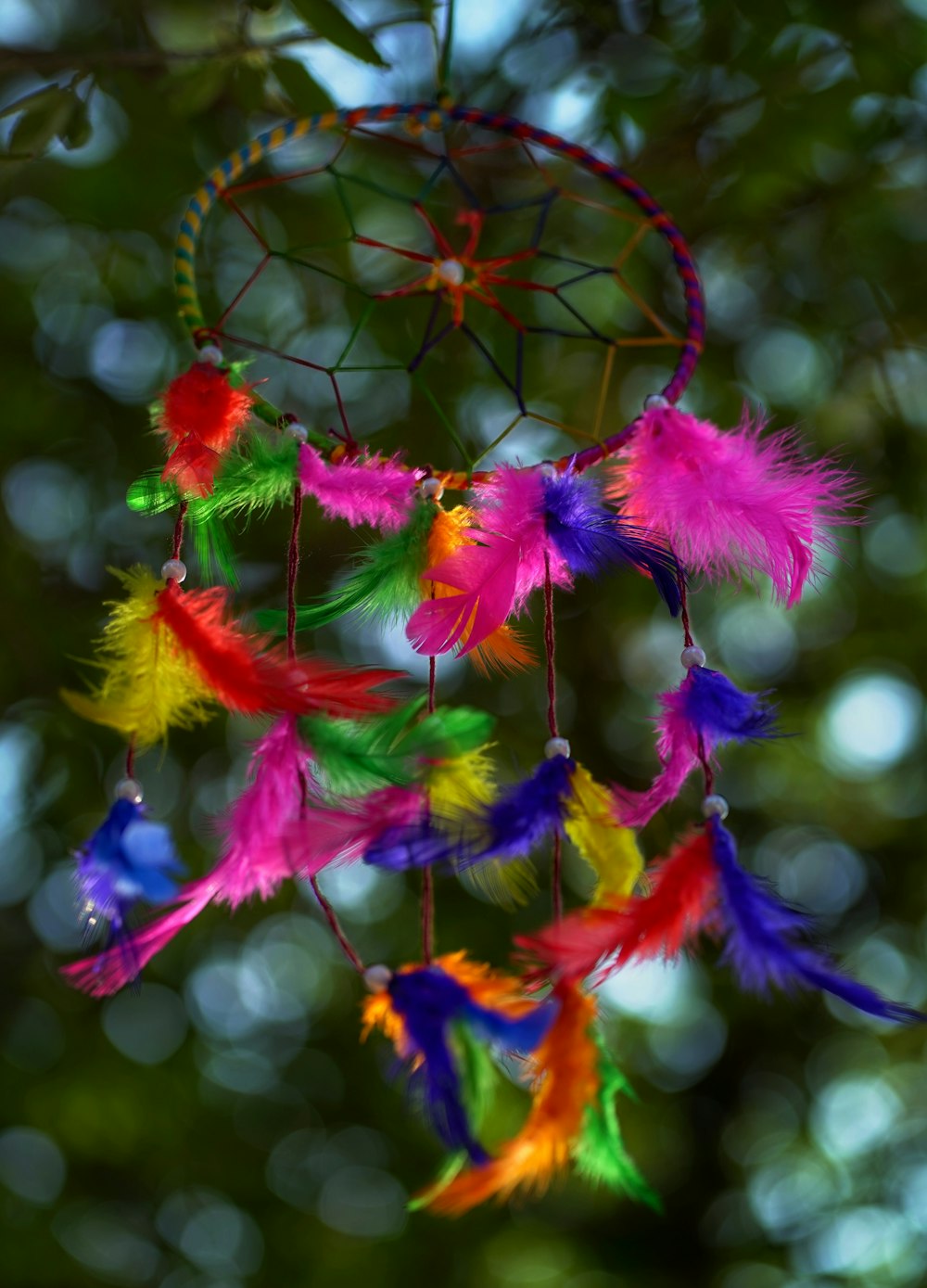 pink and yellow flower in tilt shift lens