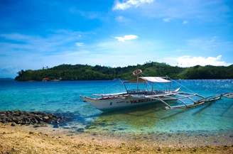 A small boat docked near lush green mangroves under a clear blue sky.