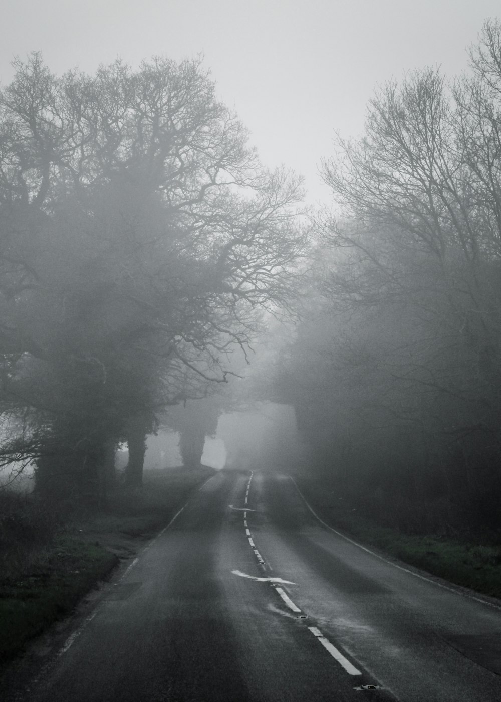 Graustufenfoto der Straße zwischen Bäumen